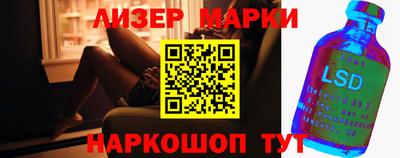 стаф Можга
