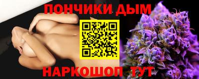стаф Можга