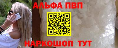 стаф Можга