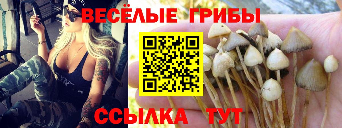 дарнет шоп  Псилоцибиновые грибы MAGIC MUSHROOMS  Галлюциногенные грибы Magic Shrooms  Вход с VPN  Зеленокумск 